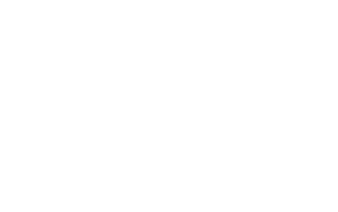 logo thevapemarket